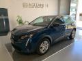 usato PEUGEOT 3008