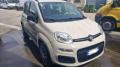usato FIAT Panda