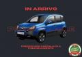 Km 0 FIAT New Panda