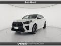 usato BMW X2