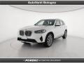 usato BMW X3