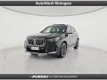 usato BMW X1