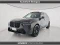 usato BMW X7
