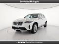 usato BMW X3
