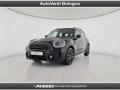 usato MINI Countryman