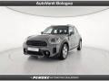 usato MINI Countryman