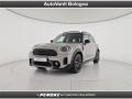 usato MINI Countryman