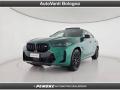 usato BMW X6