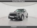usato MINI Countryman