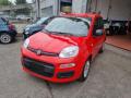 usato FIAT Panda