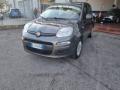 usato FIAT Panda