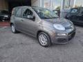 usato FIAT Panda