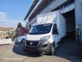 usato FIAT Ducato