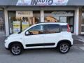usato FIAT Panda