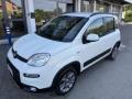 usato FIAT Panda