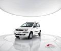 usato FIAT Panda