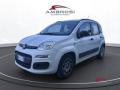 usato FIAT Panda