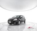usato FIAT Punto