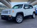 usato JEEP Renegade
