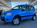 usato FIAT Panda