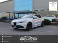 usato ALFA ROMEO Stelvio