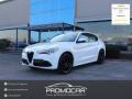 usato ALFA ROMEO Stelvio
