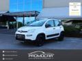 usato FIAT Panda