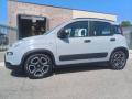 usato FIAT Panda