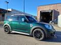 usato MINI Countryman