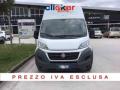 usato FIAT Ducato