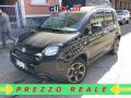 usato FIAT Panda