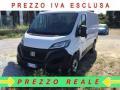 usato FIAT Ducato