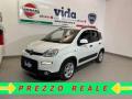 usato FIAT Panda