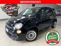 usato FIAT 500