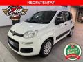 usato FIAT Panda