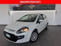 usato FIAT Punto Evo