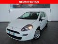 usato FIAT Punto Evo
