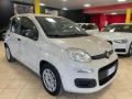 usato FIAT Panda