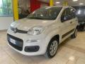 usato FIAT Panda