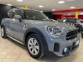 usato MINI Countryman