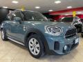 usato MINI Countryman