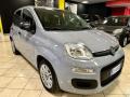 usato FIAT Panda