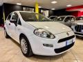 usato FIAT Punto