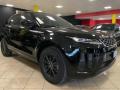 usato LAND ROVER Range Rover Evoque