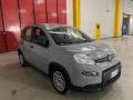 usato FIAT Panda