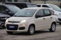 usato FIAT Panda