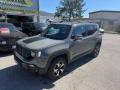 usato JEEP Renegade