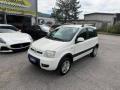 usato FIAT Panda