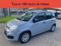 usato FIAT Panda
