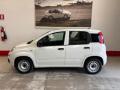 usato FIAT Panda